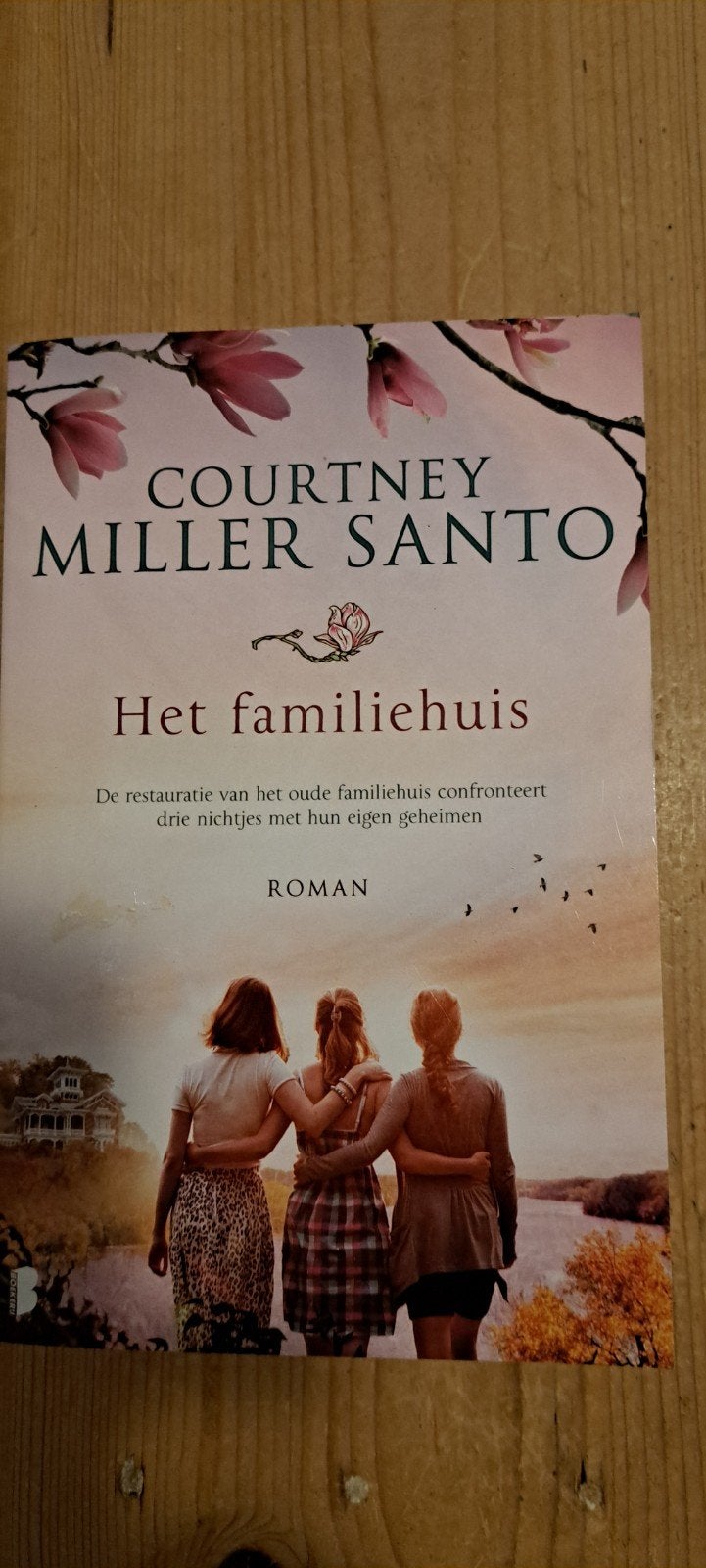 Het familiehuis - Courtney Miller Santo, Ophalen of Verzenden, Gelezen, Courtney Miller Santo