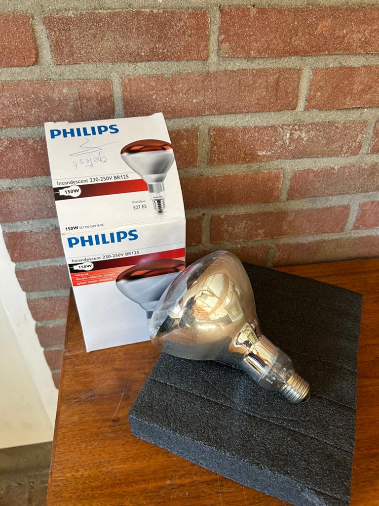 Warmtekamp (philips), Dieren en Toebehoren, Pluimvee | Toebehoren, Ophalen of Verzenden, Zo goed als nieuw, Overige typen