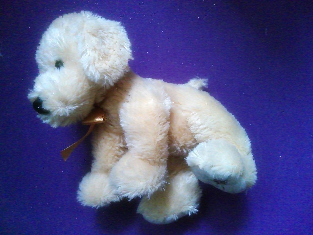 RUSS SHINING STARS Knuffel HOND **Nieuw**, Nieuw, Met label, Middelgroot (20 tot 80 cm), Russ Berrie