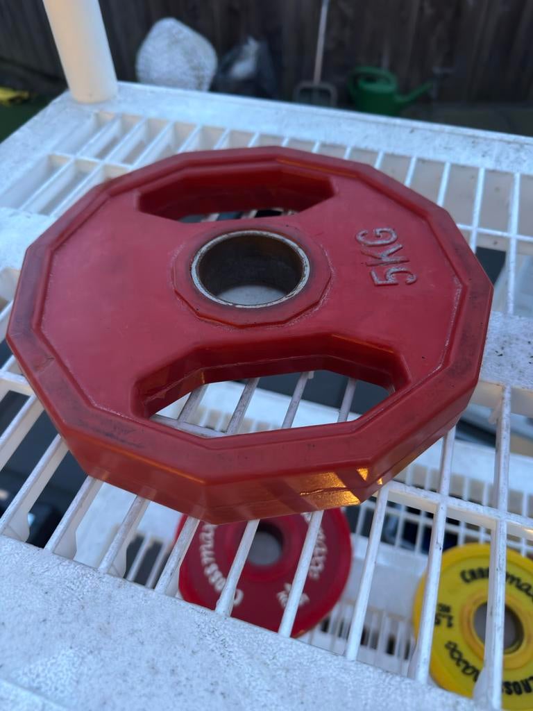 Bumperplates 5 kg, set van 2 schijven, Sport en Fitness, Fitnessmaterialen, Ophalen of Verzenden, Gebruikt, Halterschijven