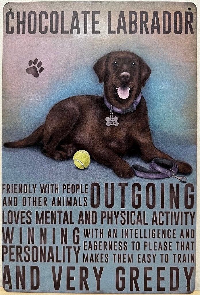 Labrador bruin eigenschappen reclamebord van metaal deco, Info@deconoord.nl, Deco Noord, Nieuw, Ophalen of Verzenden
