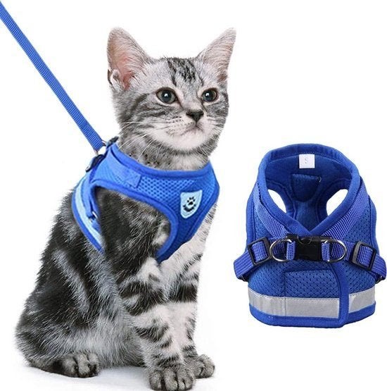 Kattentuigje XL ook geschikt voor kleine honden. BLAUW, Dieren en Toebehoren, Ophalen of Verzenden, Nieuw