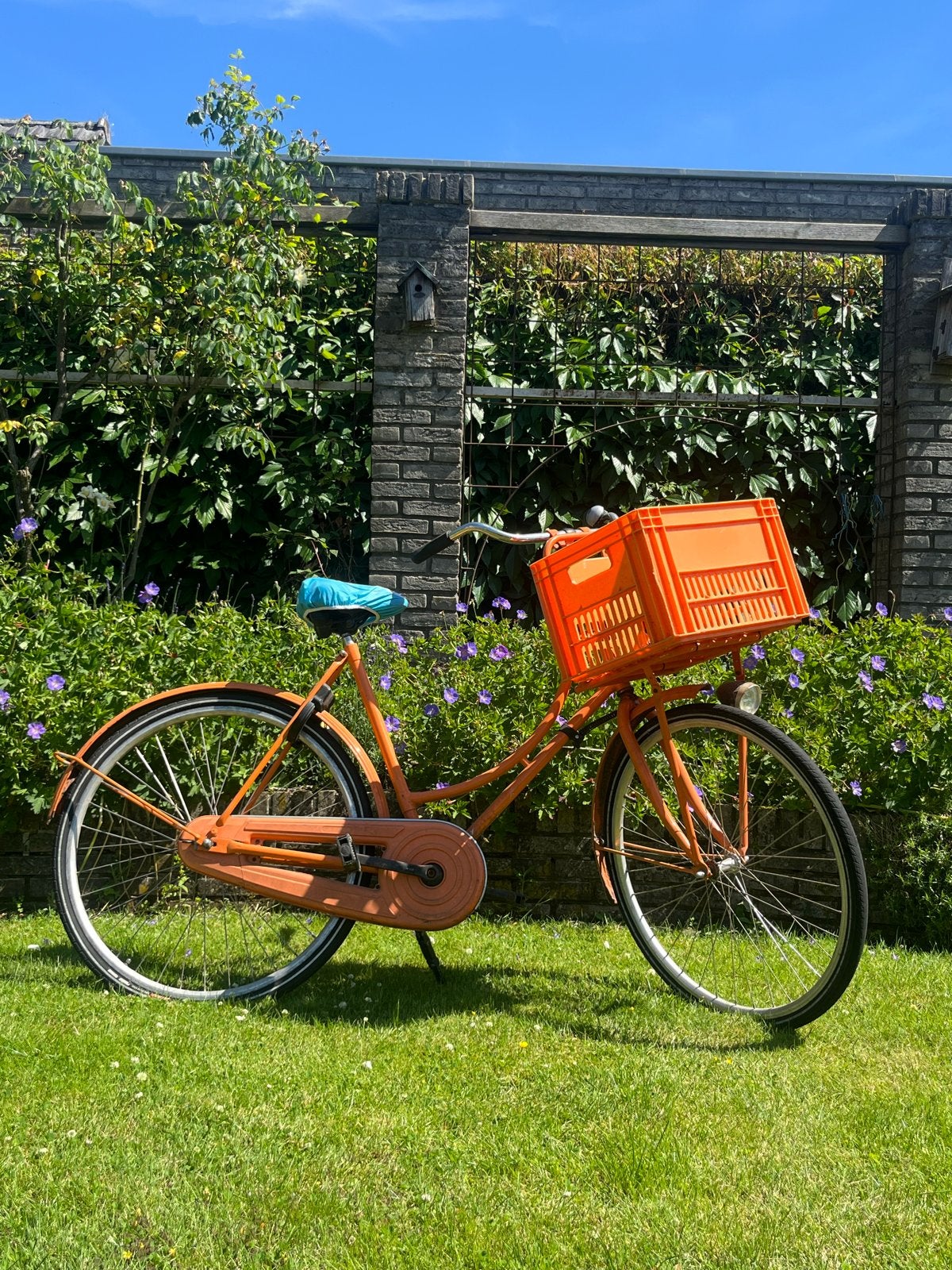 Oranje omafiets met krat, 53 tot 56 cm, Ophalen, Gebruikt, Terugtraprem