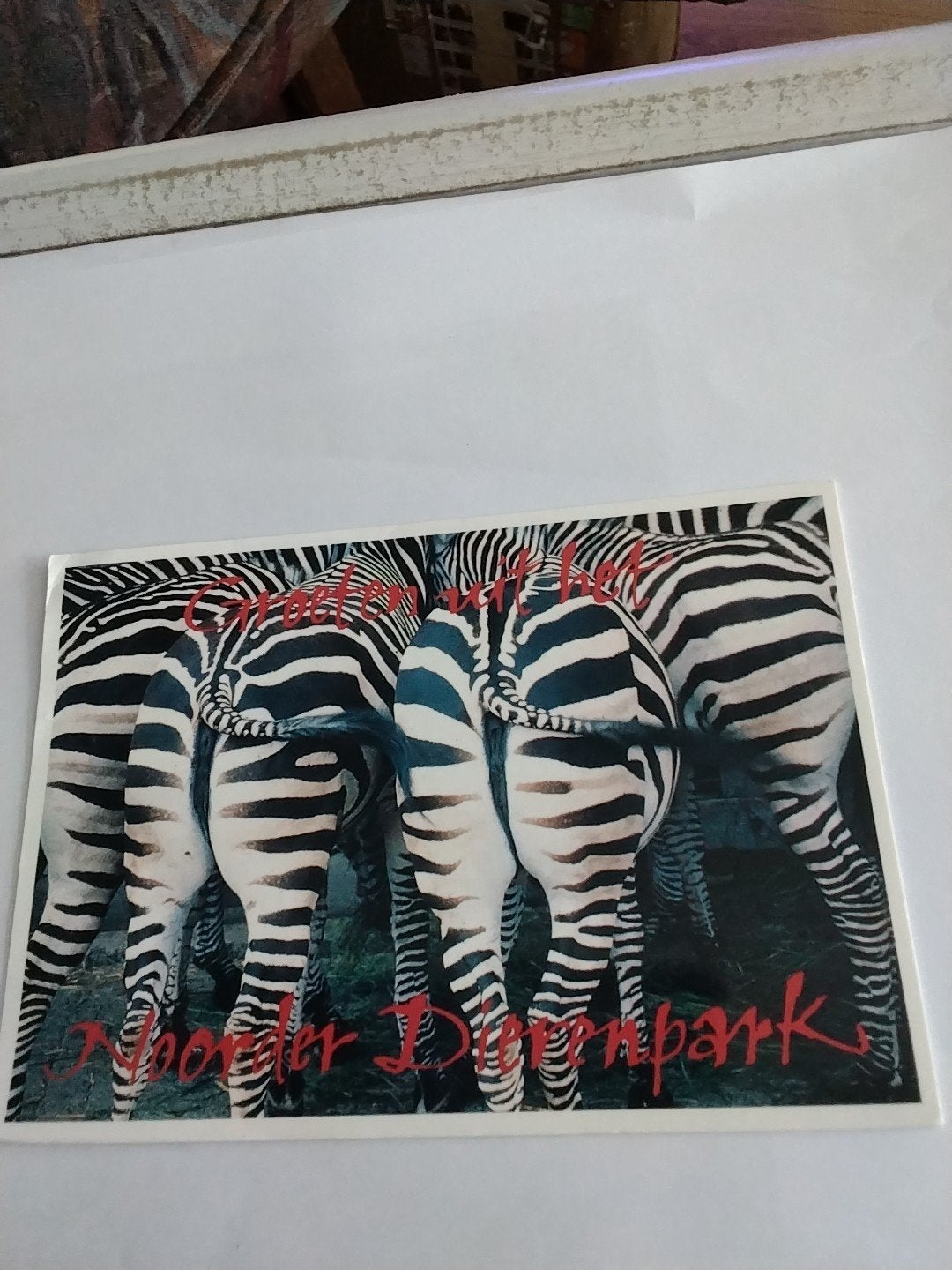 Ansichtkaart EMMEN  NOORDER DIERENPARK  Grant-zebra's, Ophalen of Verzenden, 1980 tot heden, Ongelopen, Gelderland