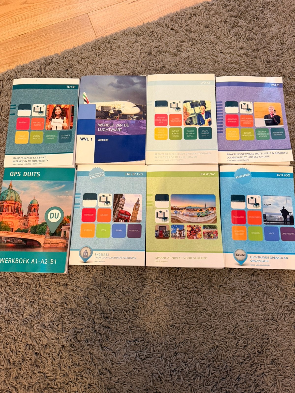 Albeda luchtvaartdienstverlener niveau 4 boeken, Ophalen of Verzenden, Zo goed als nieuw, Overige niveaus