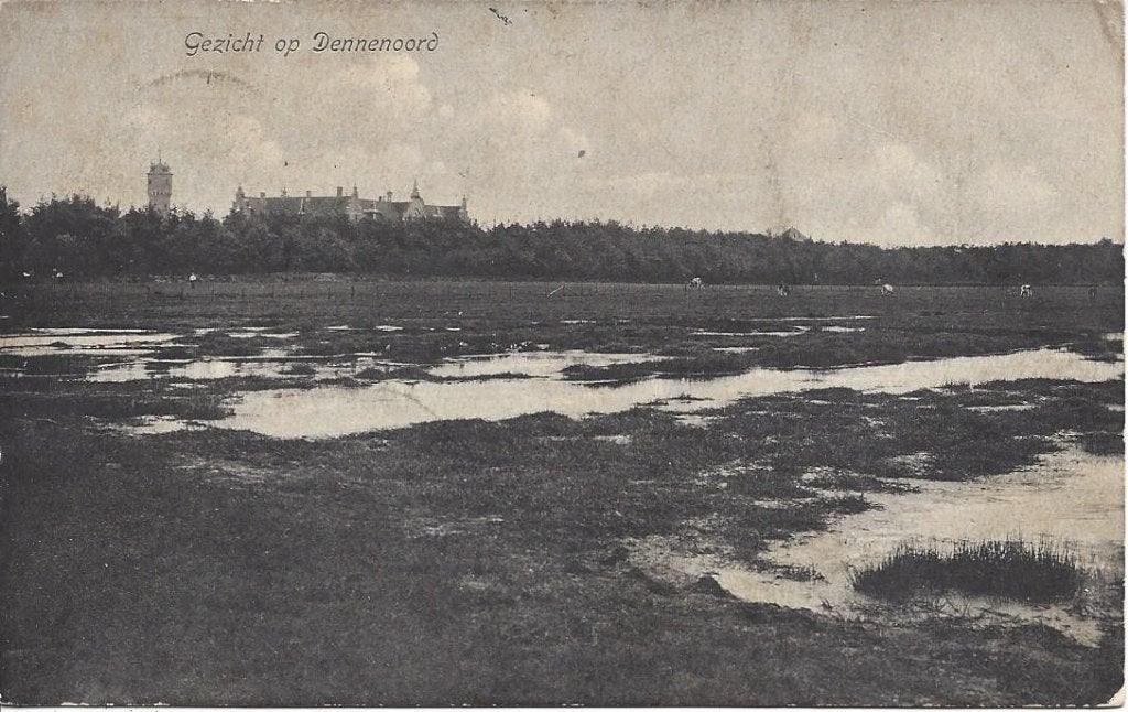 Zuidlaren (Dr.) Gezicht op Dennenoord, gelopen 1913, Ophalen of Verzenden, Voor 1920, Gelopen, Drenthe