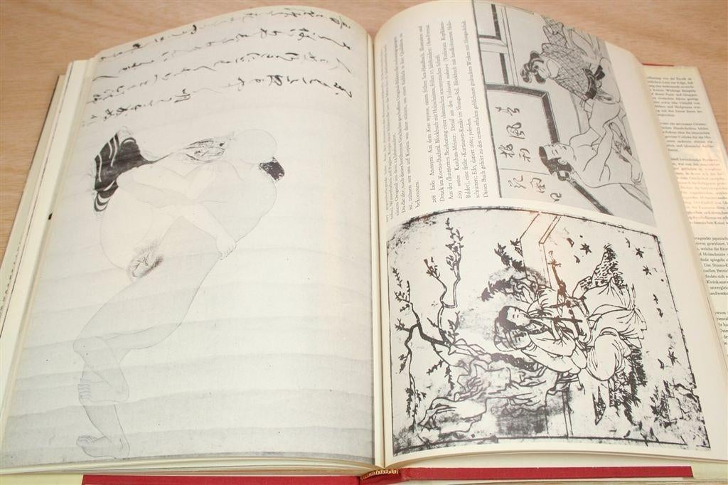 Wereldgeschiedenis Van De Erotische Kunst — Oosten [1969], Ophalen of Verzenden, Gelezen