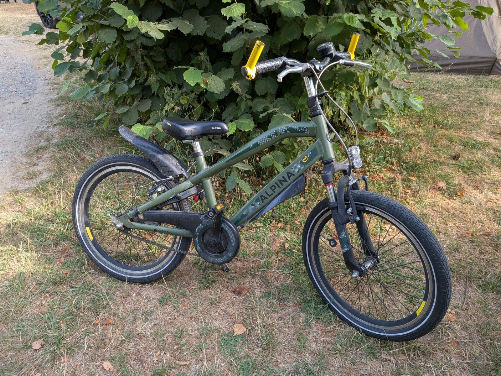 Alpina Trial 20 inch kinder fiets, Fietsen en Brommers, Ophalen, 16 tot 20 inch, Velgrem, Aluminium