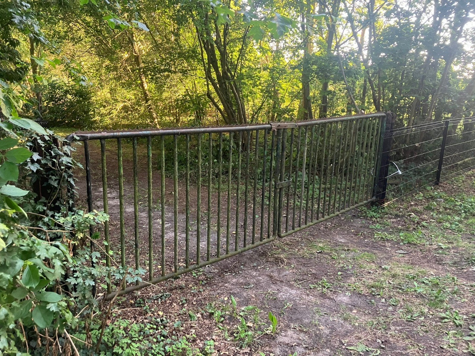 Grote metalen poort, Tuin en Terras, Ophalen, Gebruikt, IJzer, Sierhekwerk