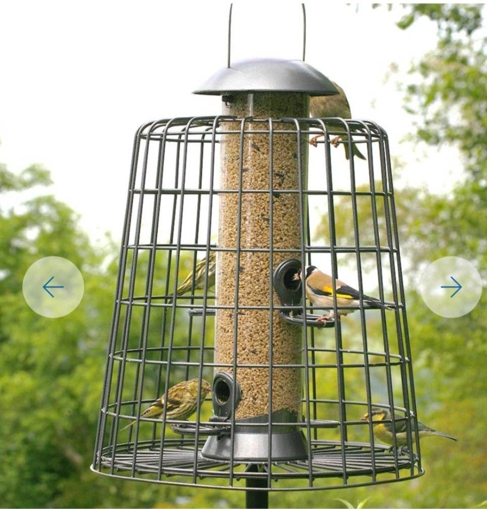 Vogelvoeder silo met beschermkooi, Ophalen, Vogel