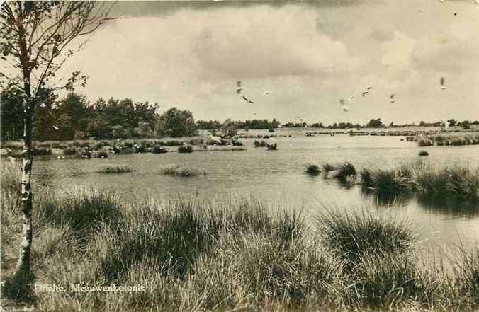 301-381-031 Uffelte Meeuwenkolonie, Verzenden, Voor 1920, Drenthe