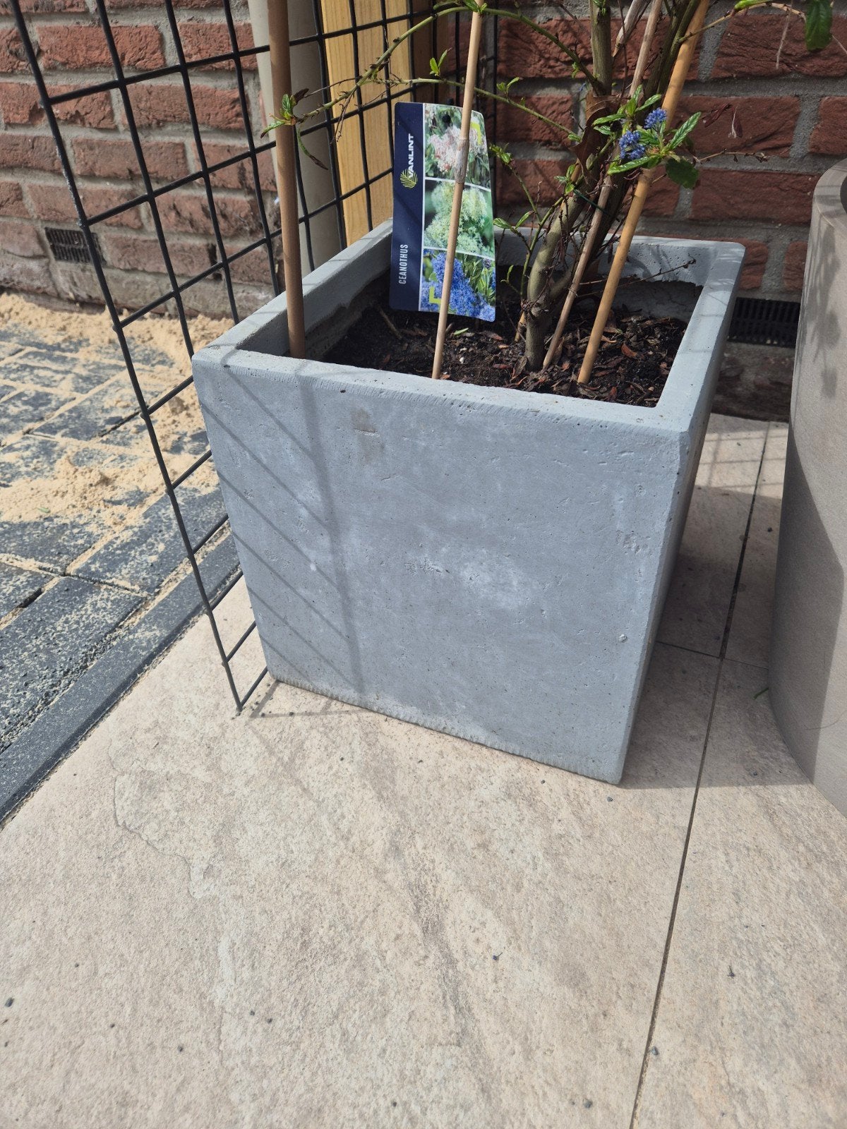 Betonnen plantenbak - Vierkant en robuust, Ophalen, Gebruikt, Minder dan 60 cm, Vierkant