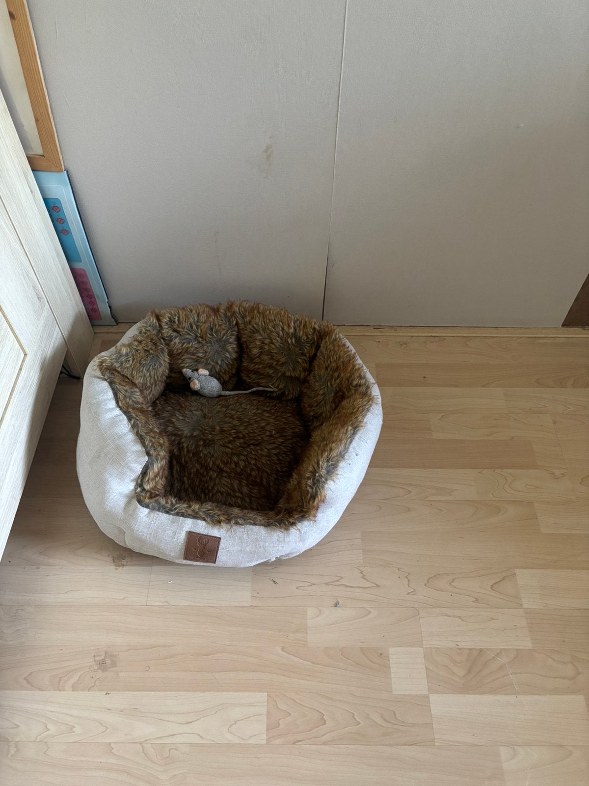 Leuke kattenmand, Ophalen of Verzenden, Gebruikt