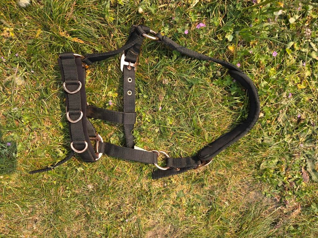 Katoom halster, maat pony, zwart rosé, Dieren en Toebehoren, Paarden en Pony's | Hoofdstellen en Tuigage, Ophalen of Verzenden