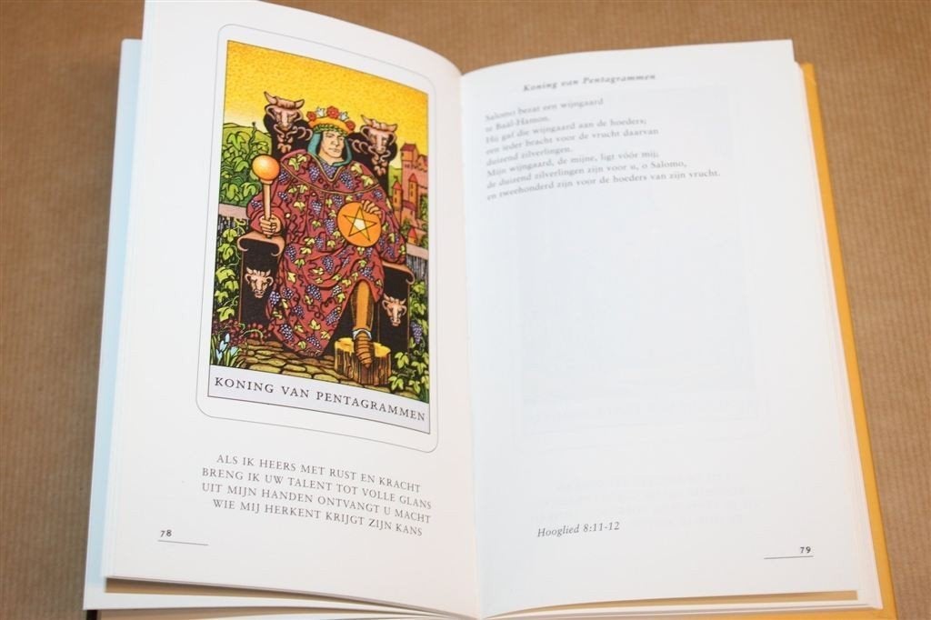 Tarot en de Bijbel — Uitleg — Onno Docters van Leeuwen, Ophalen of Verzenden, Gelezen, Overige onderwerpen, Achtergrond en Informatie
