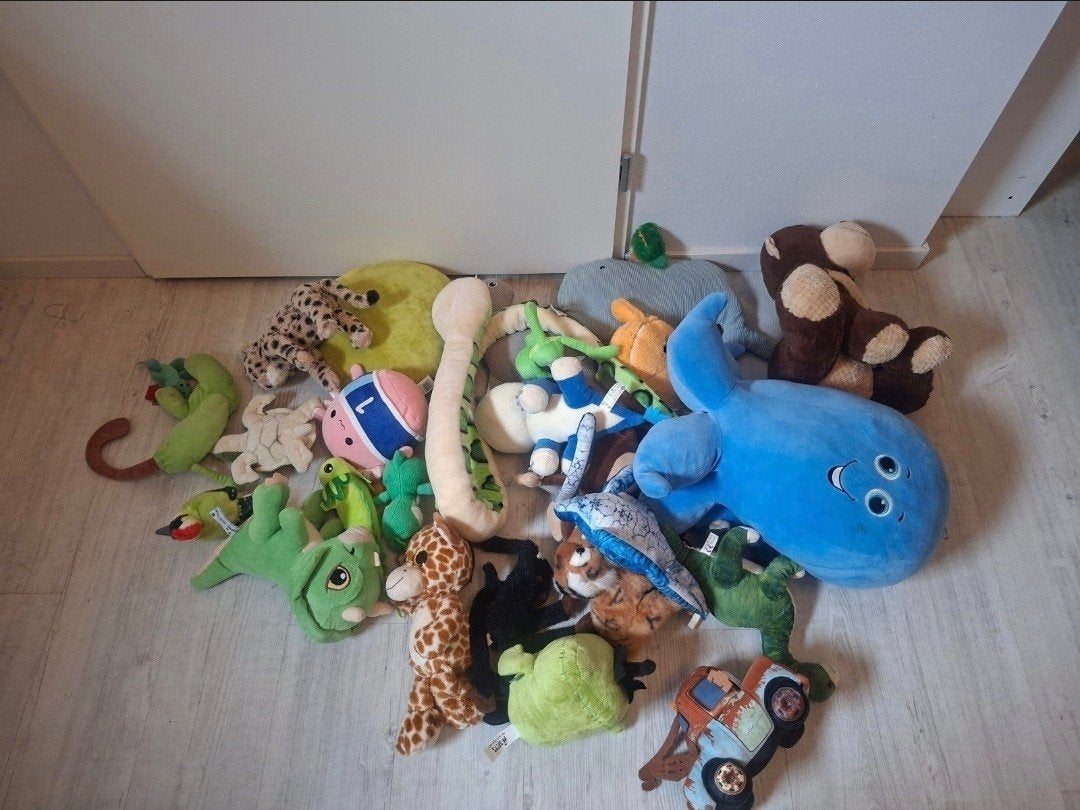 Grote verzameling knuffels, diverse dieren en karakters, Ophalen, Kikker, Gebruikt, Overige merken
