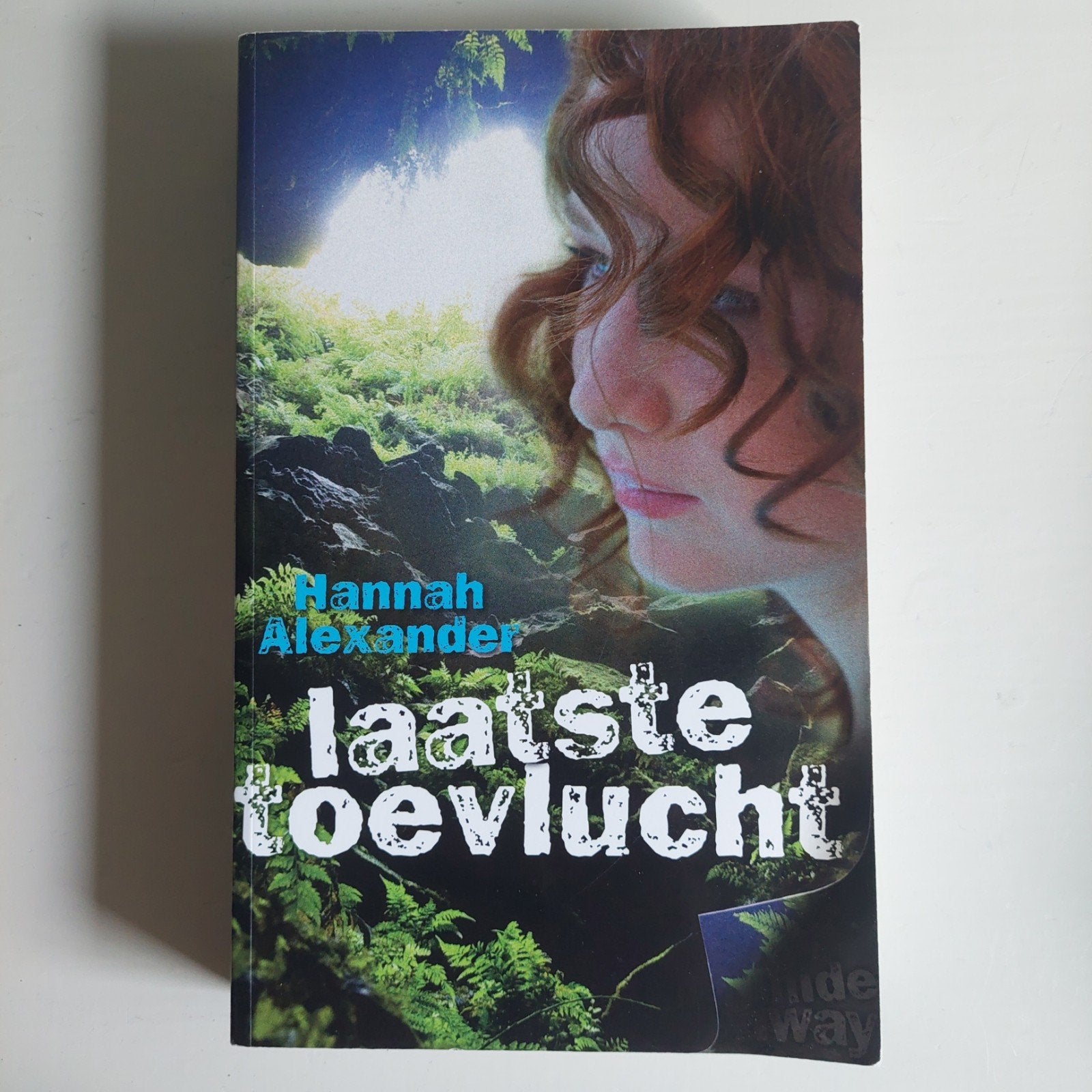 Laatste Toevlucht - Hannah Alexander (Roman), Boeken, Ophalen of Verzenden, Gelezen, Hannah Alexander, Nederland