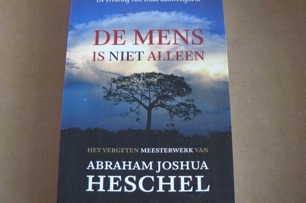 HESCHEL / De Mens is niet alleen / Gods aanwezigheid, Boeken, Ophalen of Verzenden, Gelezen
