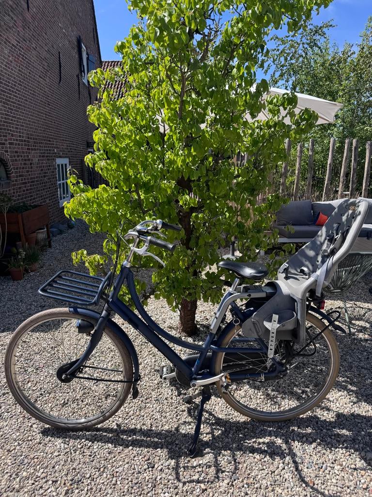 Azor Ameland Nexus 3 versnellingen met kinderzitje, Fietsen en Brommers, Fietsen | Dames | Damesfietsen, Zo goed als nieuw, Overige merken