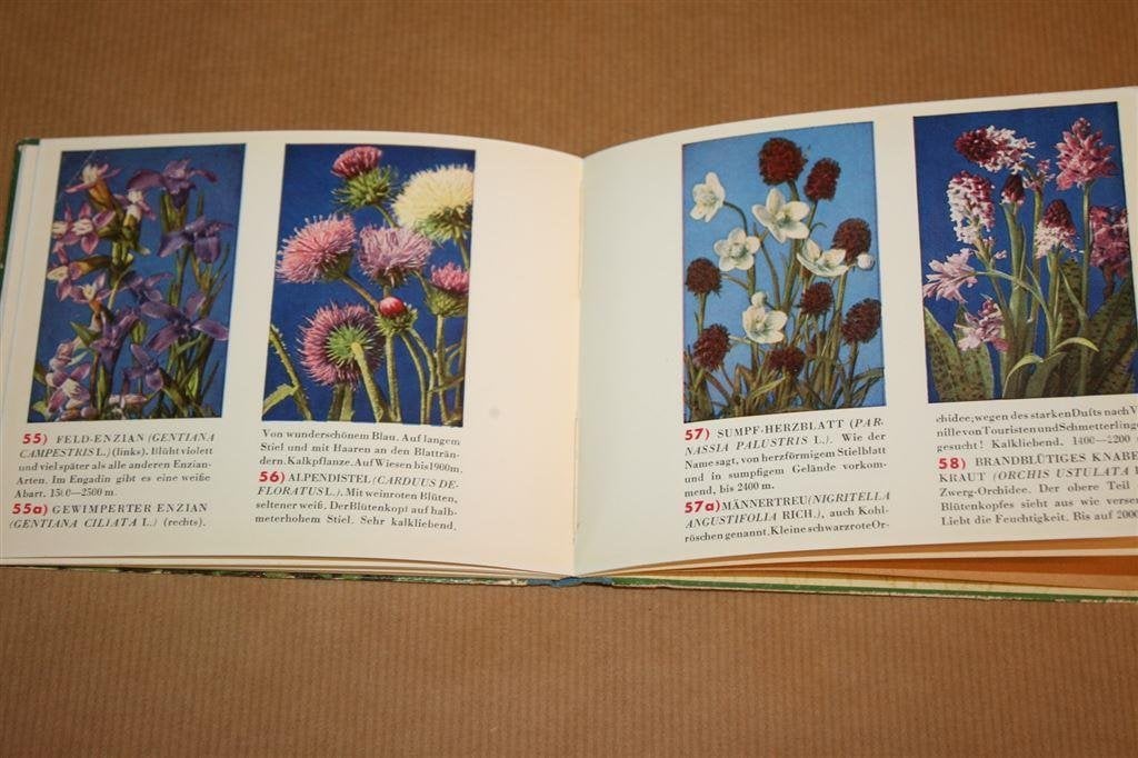 Alpenblumenfibel - Boek over Alpenbloemen - ca. 1962, Ophalen of Verzenden, Gelezen