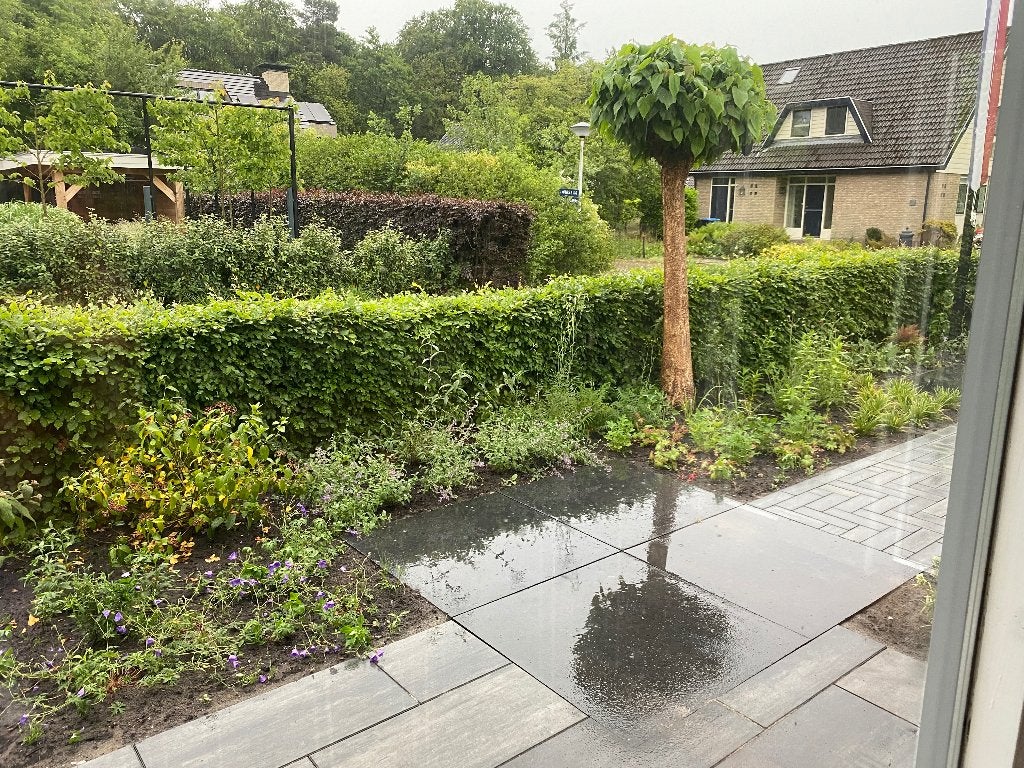 huishoudelijke hulp gezocht in Beetsterzwaag, Diensten en Vakmensen, Schoonmaken