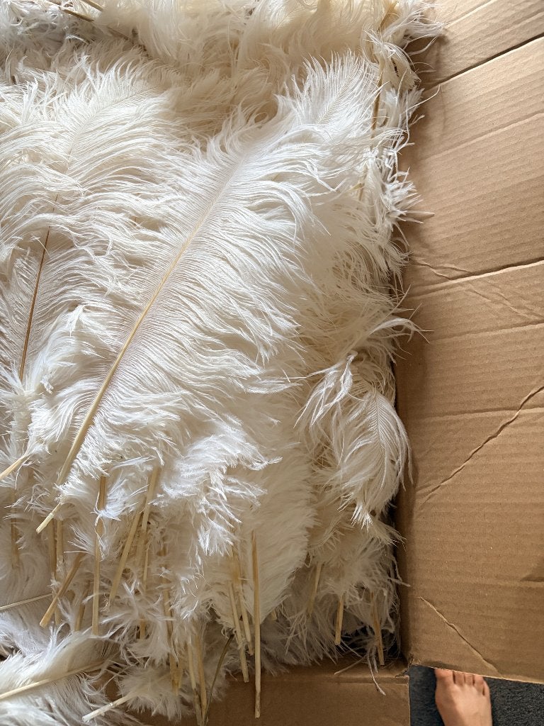 Grote partij Witte Struisvogel veren Great Gatsby, Hobby en Vrije tijd, Ophalen of Verzenden, Nieuw, Versiering