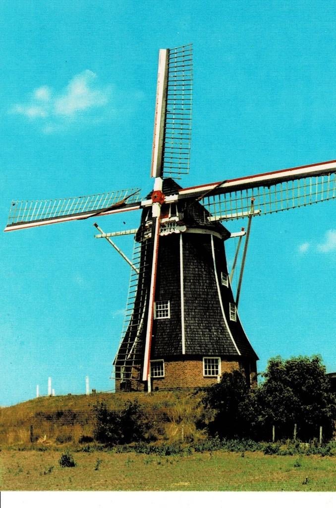 Harreveld, Molen, Verzamelen, Ansichtkaarten | Nederland, Ophalen of Verzenden, Ongelopen, Gelderland