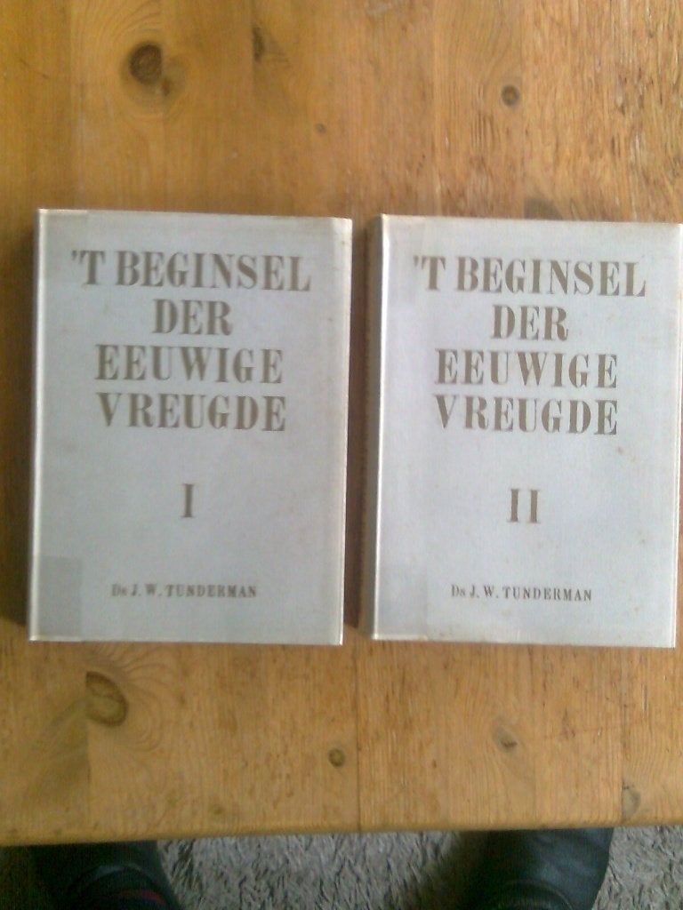 't Beginsel der eeuwige vreugde deel l en ll  J.W. Tunderman, Boeken, Ophalen of Verzenden, Gelezen