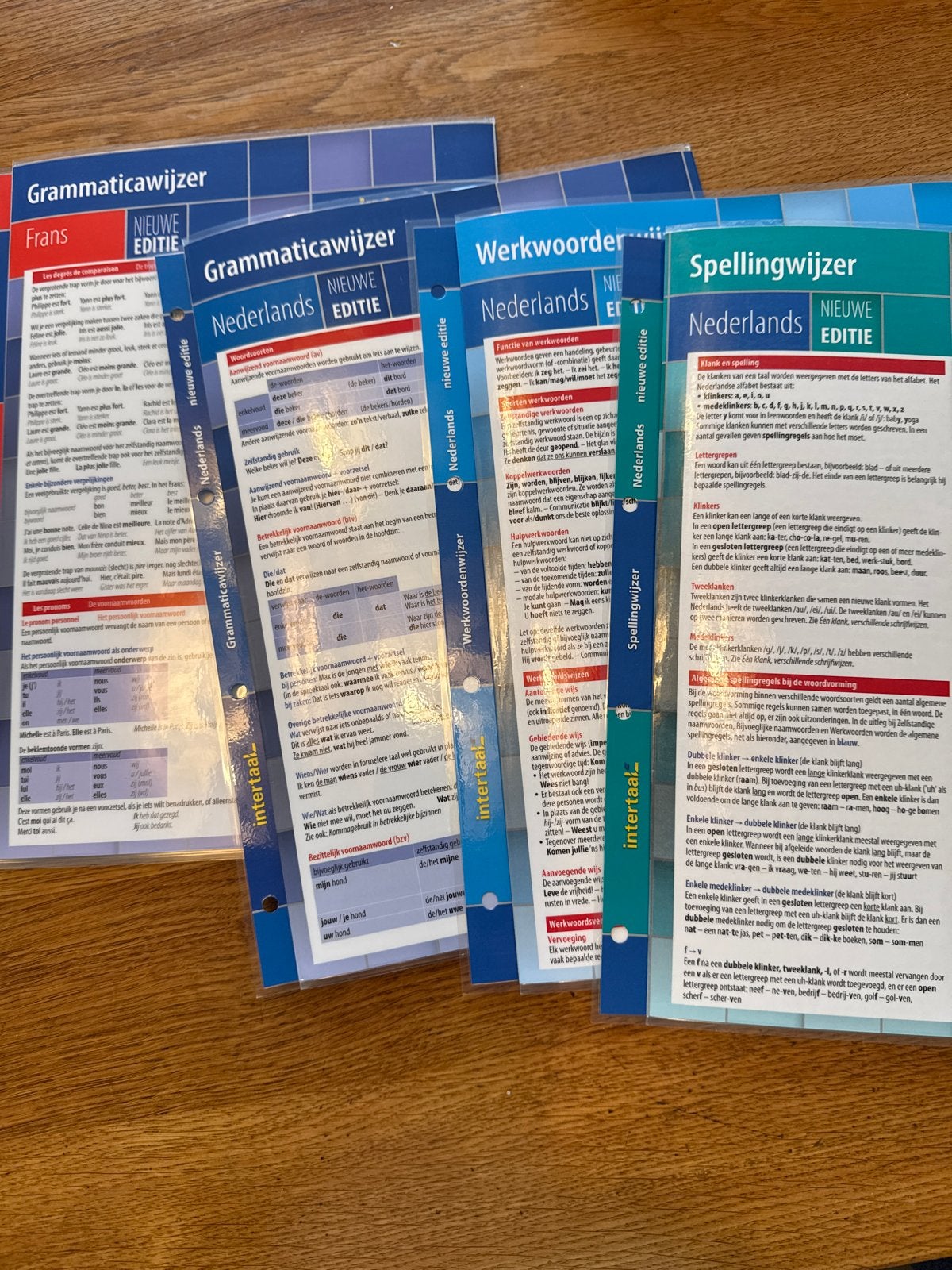 Intertaal Grammatica-, Werkwoorden- & Spellingwijzers, Boeken, Ophalen, Alpha, Zo goed als nieuw, MBO