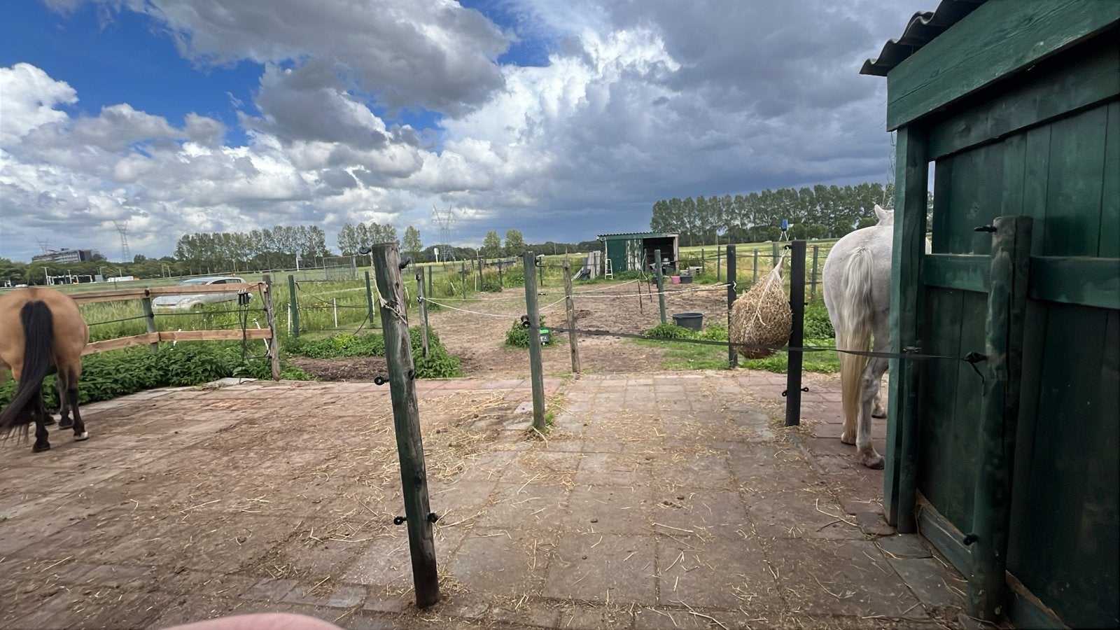 Zand gezocht voor paardenbak in Ridderkerk, Ophalen, Gebruikt, Overige typen