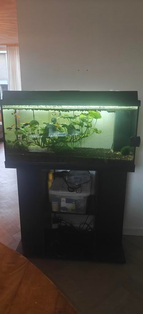Compleet 120l Juwel aquarium + meubel, Ophalen, Gebruikt, Gevuld zoetwateraquarium, Inclusief vissen