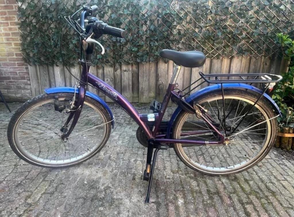 Meisjes fiets 24 inch, Ophalen of Verzenden, Gebruikt