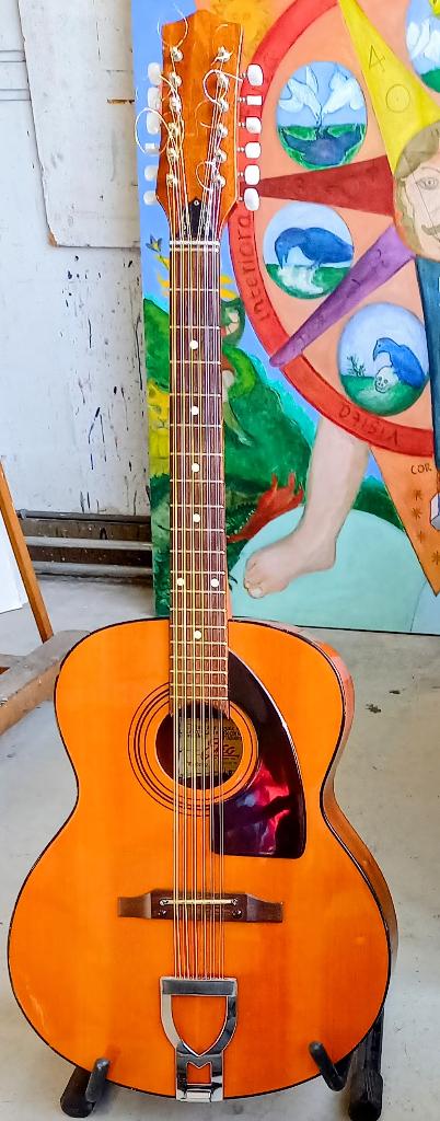gitaar, Vintage, voor verzamelaars, Ophalen, Gebruikt, Western- of Steelstringgitaar, 12-snarig