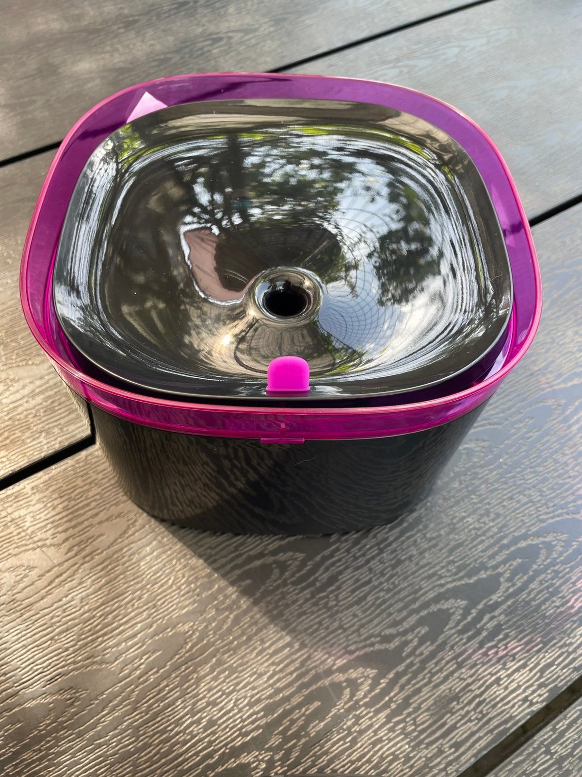 Petrebbel drinkfontijn NIEUW, Dieren en Toebehoren, Ophalen of Verzenden, Nieuw