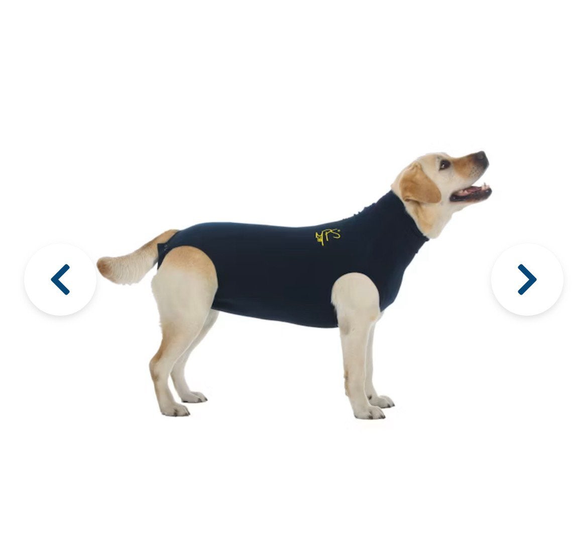Medical Pet shirt hond (hondenromper) maat L, Ophalen of Verzenden, Zo goed als nieuw