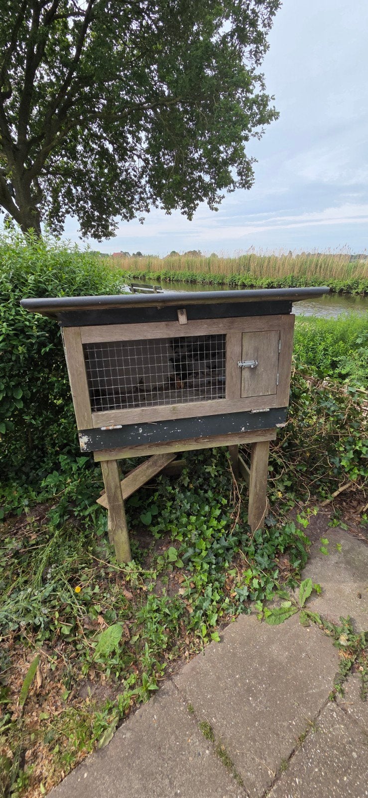 Konijnenhok gratis afhalen, Dieren en Toebehoren, Ophalen