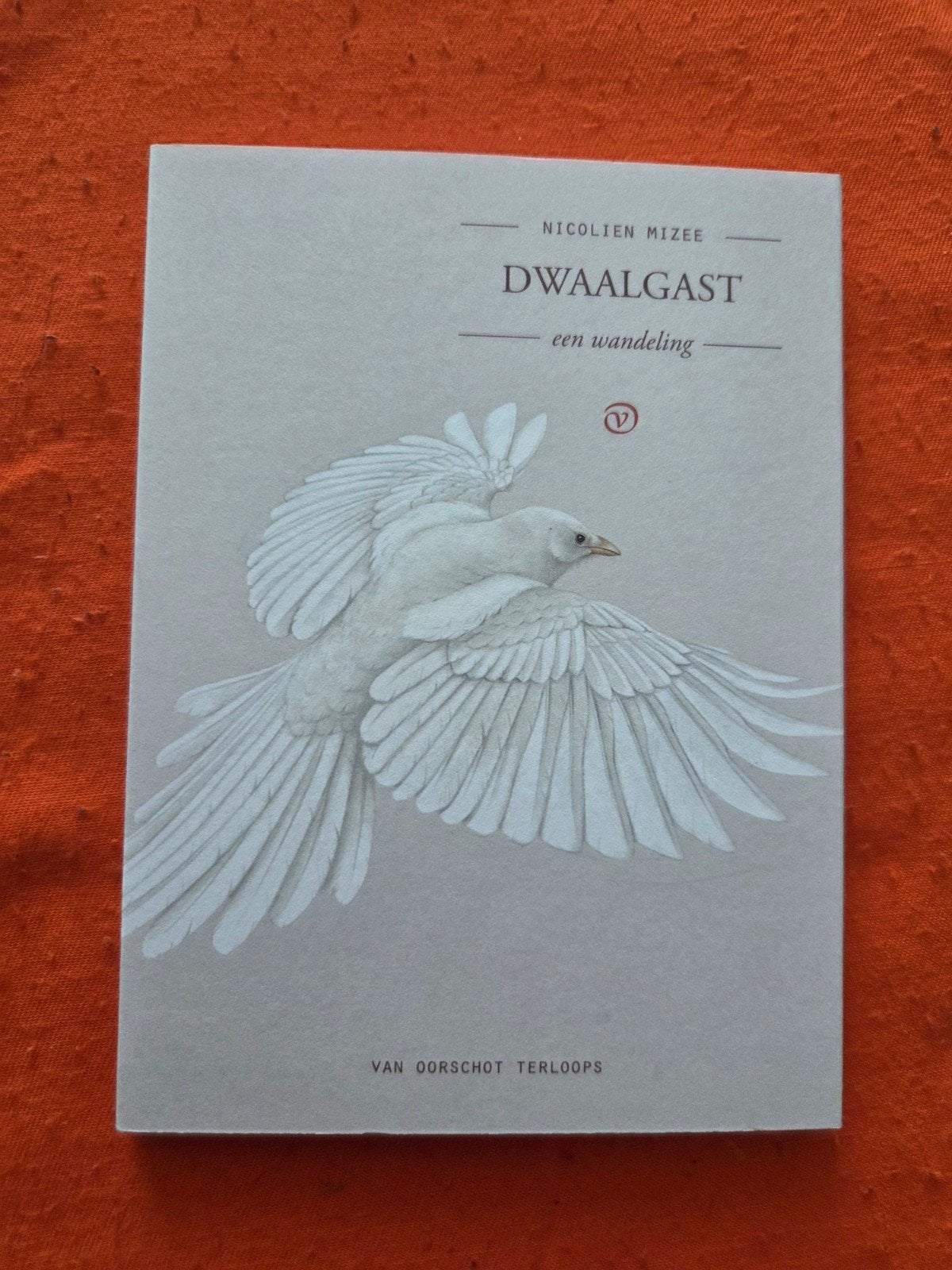 Nicolien Mizee - Dwaalgast, nieuw, Ophalen, Nieuw, Nicolien Mizee, Europa