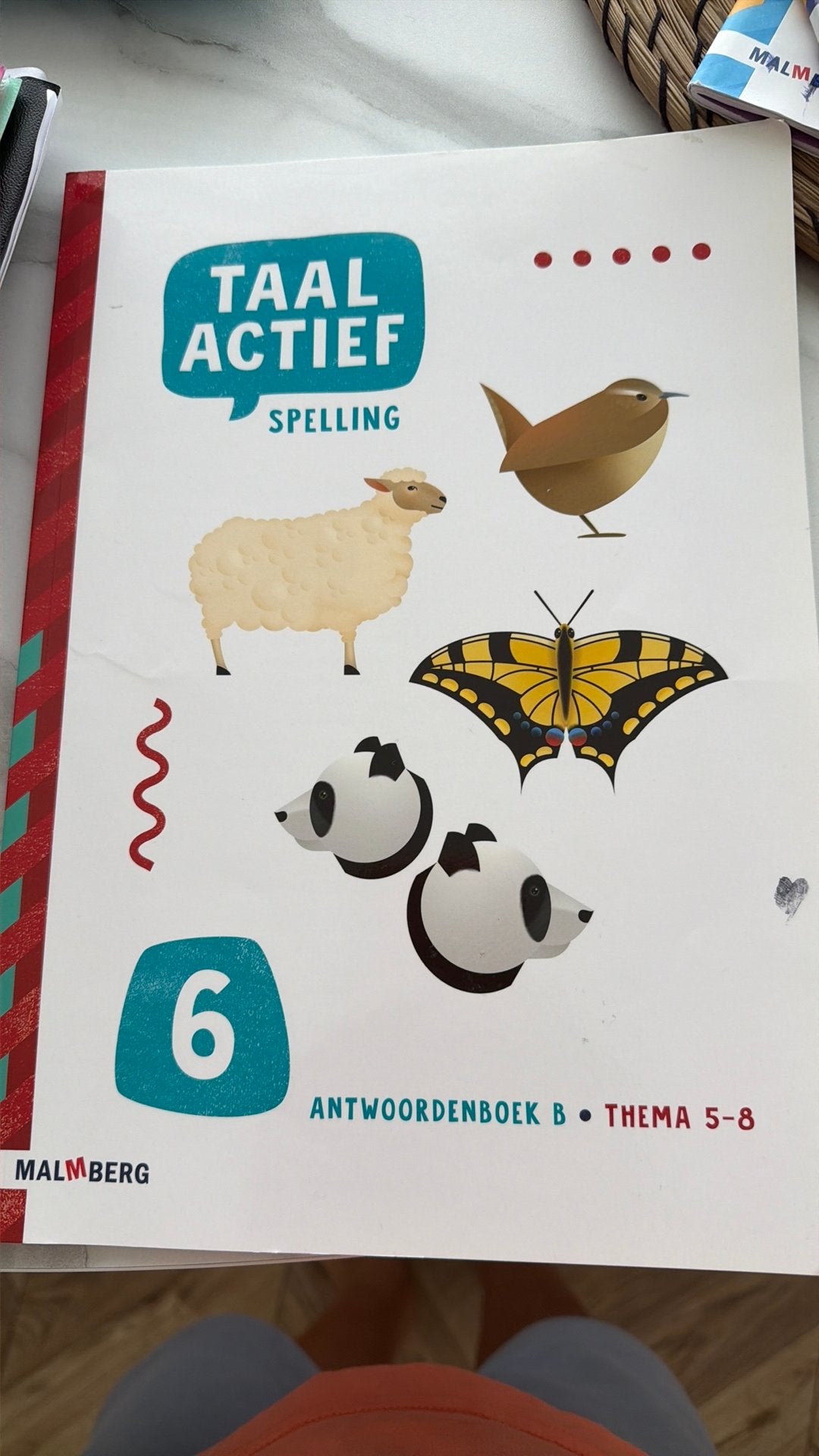 Taal actief antwoorden boekje groep 6, Ophalen of Verzenden, Zo goed als nieuw, Overige niveaus, Nederlands