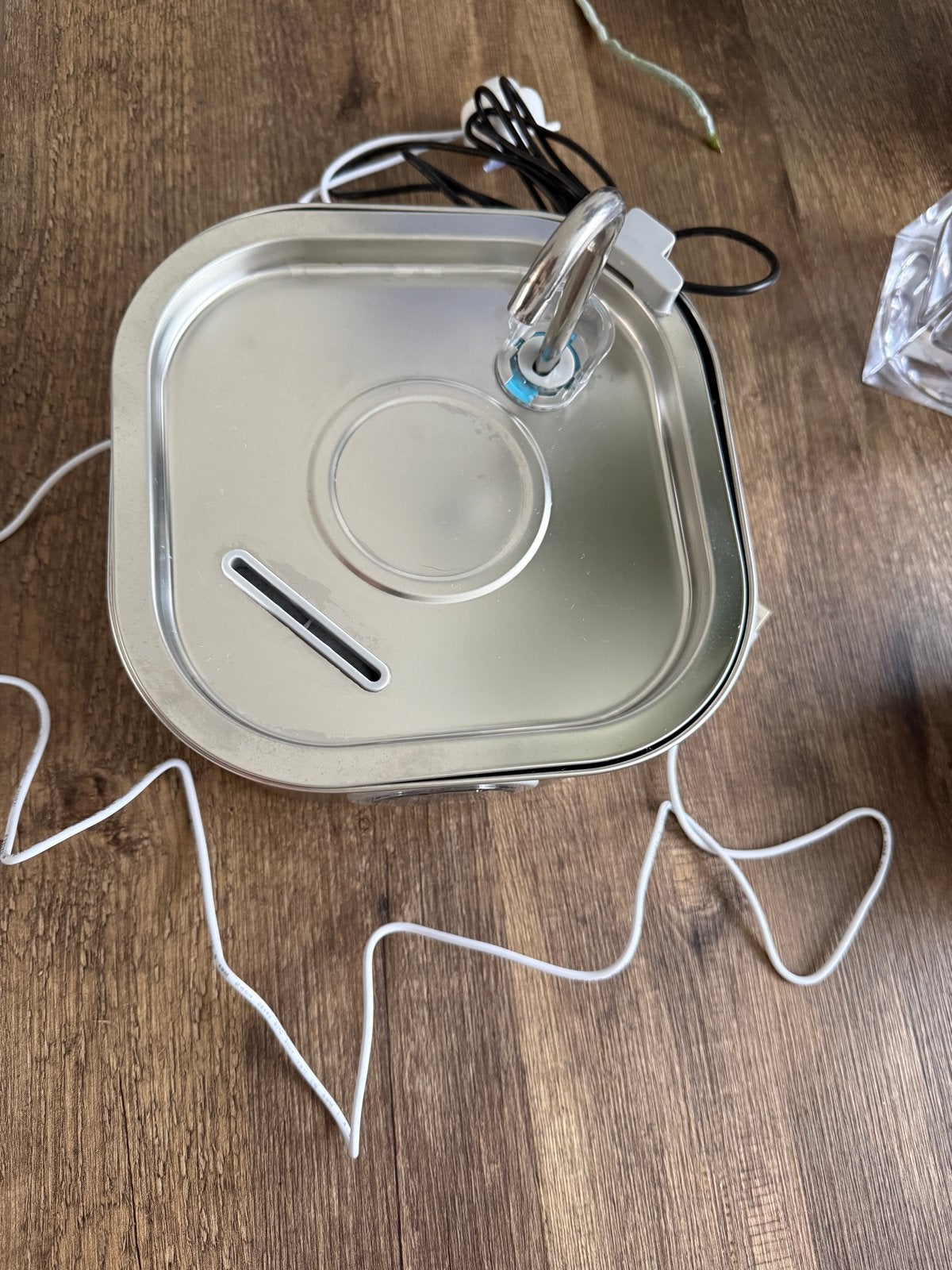 Drinkfontein voor katten, Ophalen of Verzenden, Nieuw