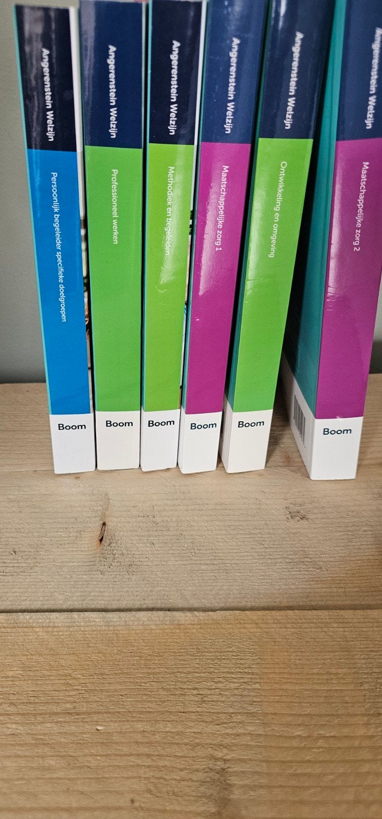 Persoonlijk begeleider Maatschappelijk zorg MBO niv.3 en 4, Ophalen of Verzenden, Gamma, Gelezen, MBO