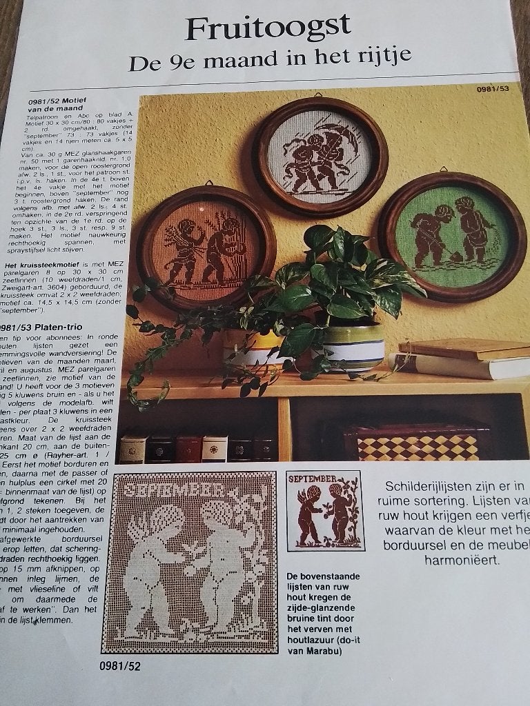 Borduurpatroon van maand september, Ophalen of Verzenden, Zo goed als nieuw, Handborduren, Patroon