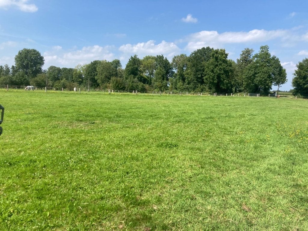 plekje voor shetlander of kleine pony beschikbaar, Weidegang, 1 paard of pony