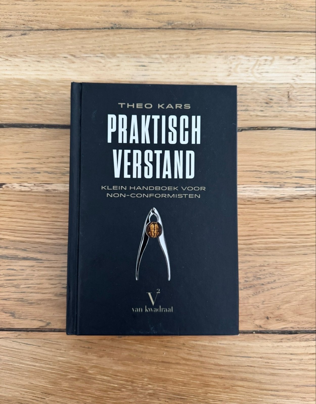 Praktisch Verstand - Theo Kars, Ophalen of Verzenden, Zo goed als nieuw, Nederland