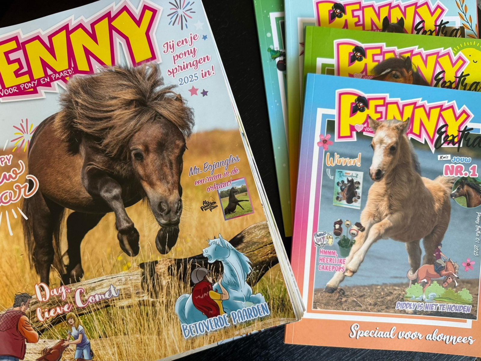 Penny tijdschriften jaargang 2025, Ophalen of Verzenden, Gelezen, Overige typen