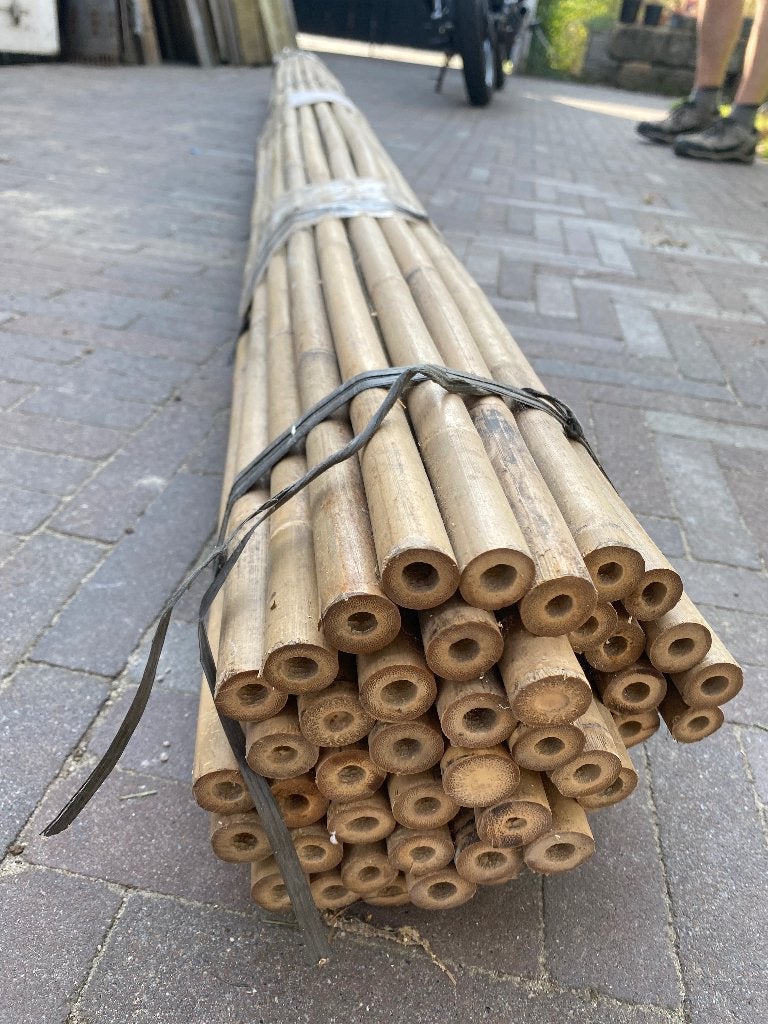 bamboestokken, Ophalen, Nieuw, 250 cm of meer, Overige typen
