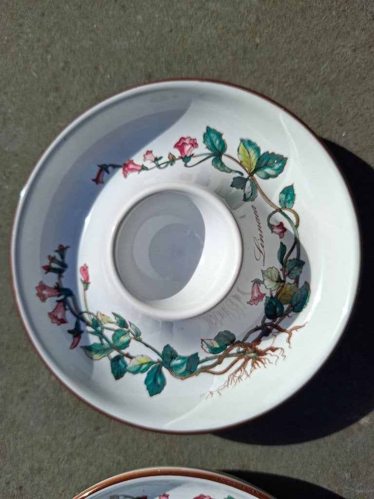 Porseleinen eierdopjes Villeroy & Boch, Linnaea, Klassiek, Ophalen of Verzenden, Zo goed als nieuw, Porselein