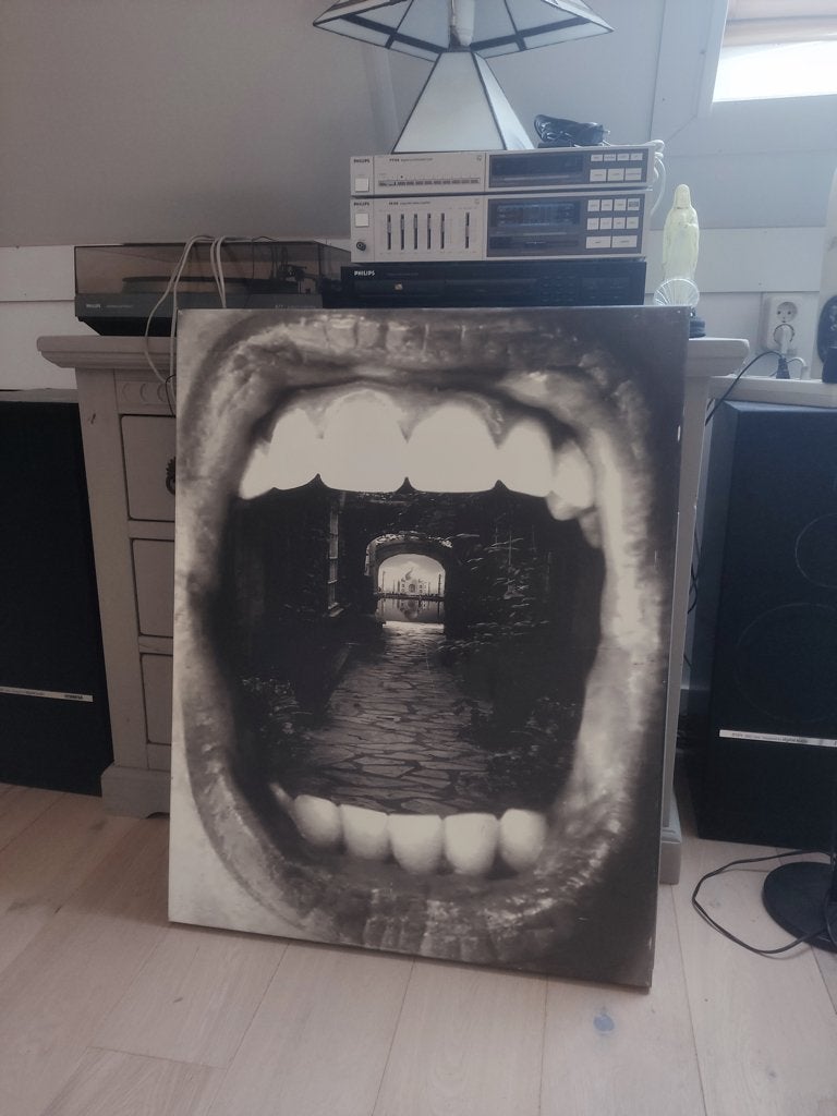 Inner Beauty Canvas - Thomas Barbey, Ophalen, Gebruikt, Print, 75 cm of meer