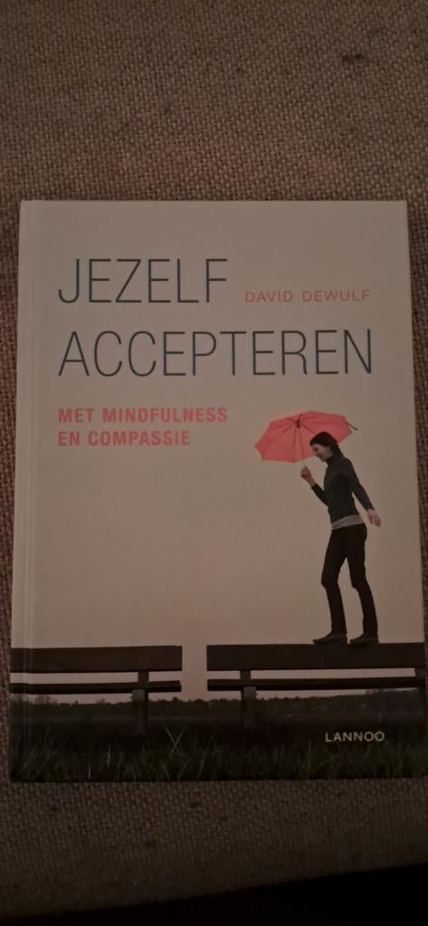 Jezelf Accepteren - David Dewulf, Boeken, Psychologie, Ophalen of Verzenden