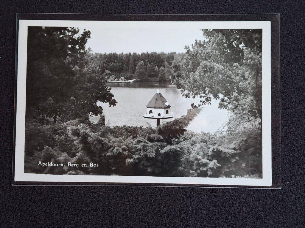 Apeldoorn Berg en Bos - Oude Ansichtkaart, Ophalen of Verzenden, 1920 tot 1940, Ongelopen, Gelderland