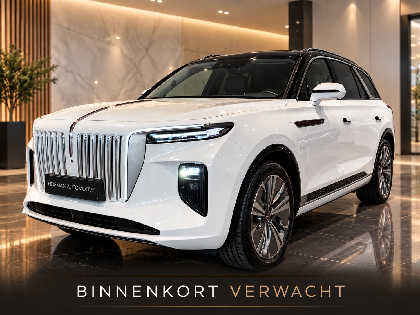 Hongqi E-HS9 President 99 kWh | Pano | Leder | Massage, Auto's, Automaat, Verwarmde buitenspiegels, 137 €/maand, Vierwielaandrijving
